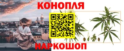 стаф Краснодар