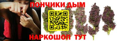 стаф Краснодар