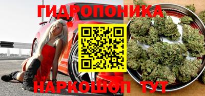 стаф Краснодар
