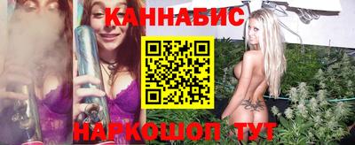 стаф Краснодар