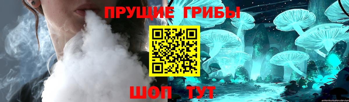 Галлюциногенные грибы GOLDEN TEACHER Джанкой